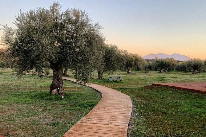 wine-olive-oil-tasting-in-an-organic-farm-in-laconia-greece