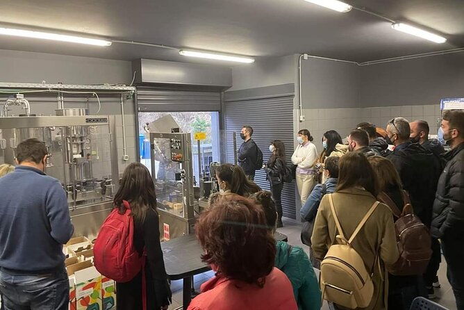 wine-raki-olive-oil-tasting-and-pottery-small-group