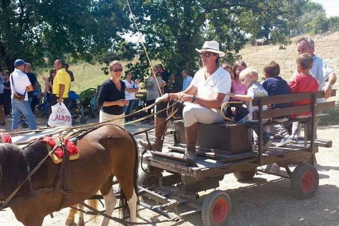 wine-tasting-and-horseback-riding-in-montepulciano-in-tuscany-from-rome