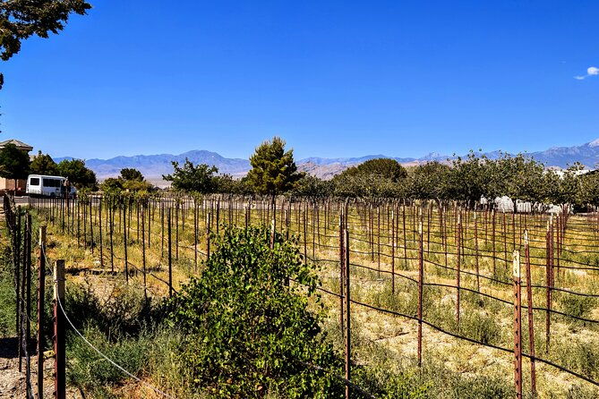 wine-tasting-and-snacks-from-las-vegas-2