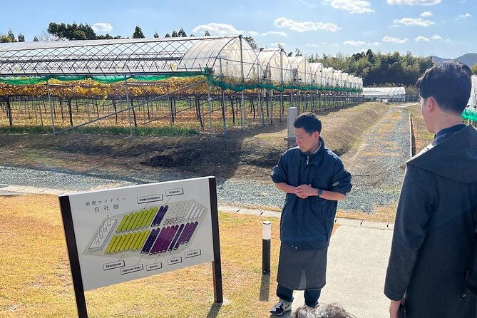 wine-tasting-experience-in-yamaga