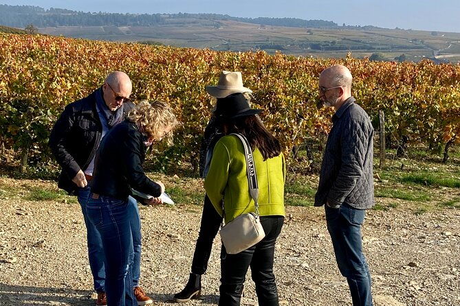 wine-tour-and-tasting-in-burgundy