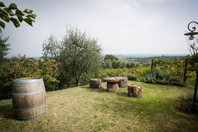 wine-tour-experience-at-agricola-tamburini-4