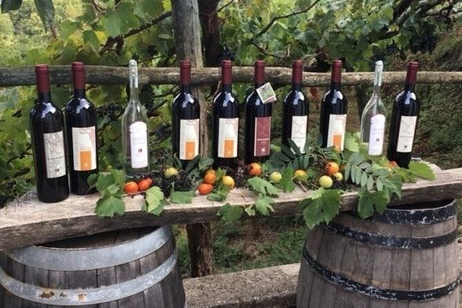 wine-tour-lunch-included