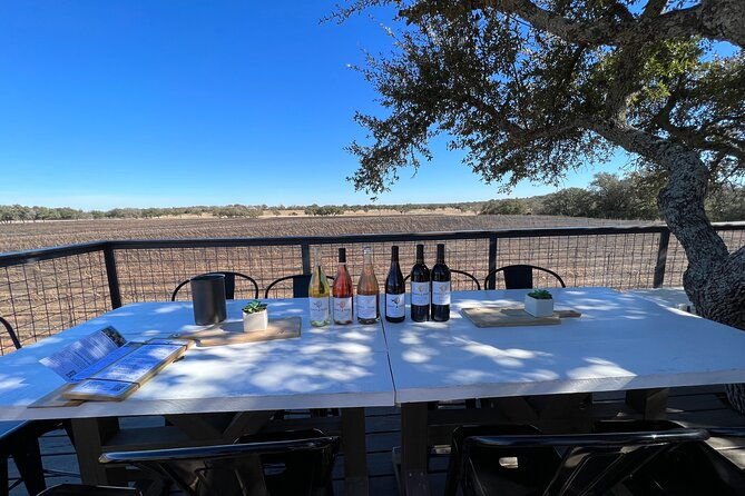 wine-tour-pros-fredericksburg-texas-wine-tour-up-to-6-people