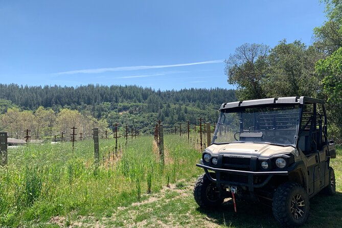 wine-tour-pros-wine-tour-in-napa-valley-suv-for-up-to-6-guests