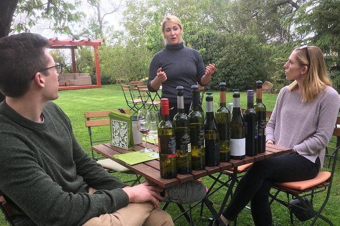 wine-tour-the-best-of-istria