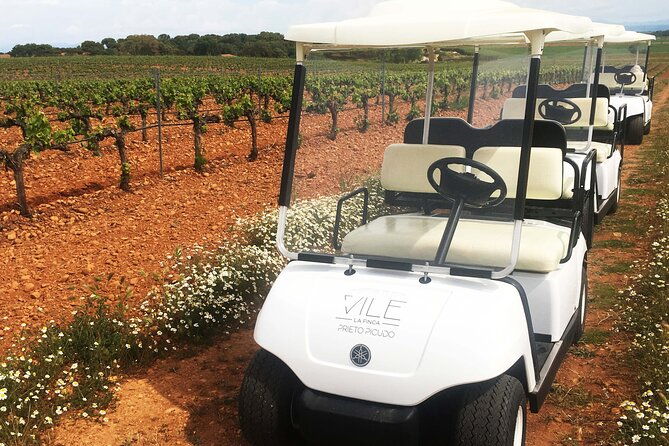 wine-tourism-wine-tasting
