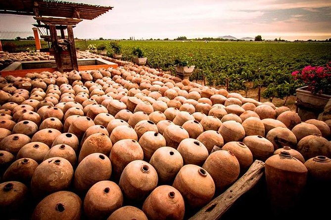 winery-and-pisco-distillery-tour