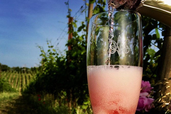 winery-tour-and-wine-cheese-charcuterie-tasting