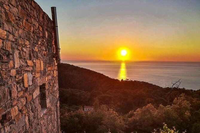 winery-tour-and-wine-tasting-at-karimalis-winery-in-ikaria