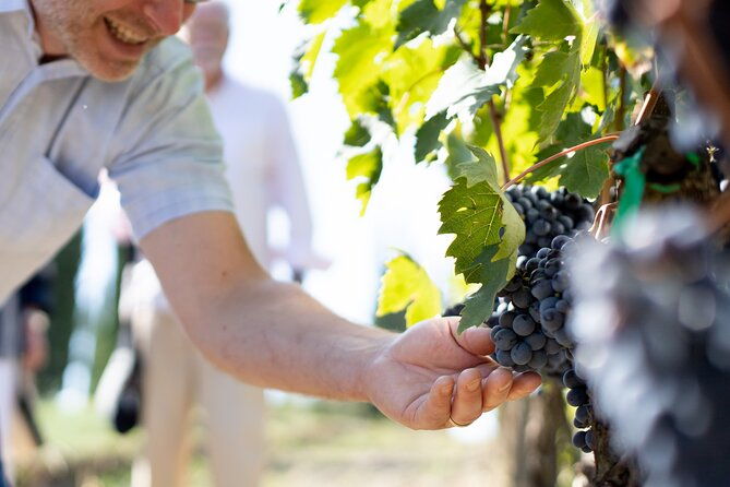 winery-tour-gourmet-tasting-in-montalcino