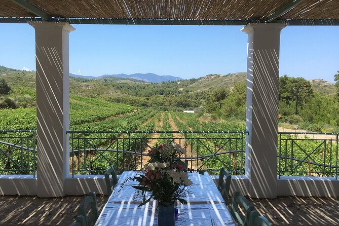winery-tour-tasting-and-cooking-with-the-winemaker-in-rhodes
