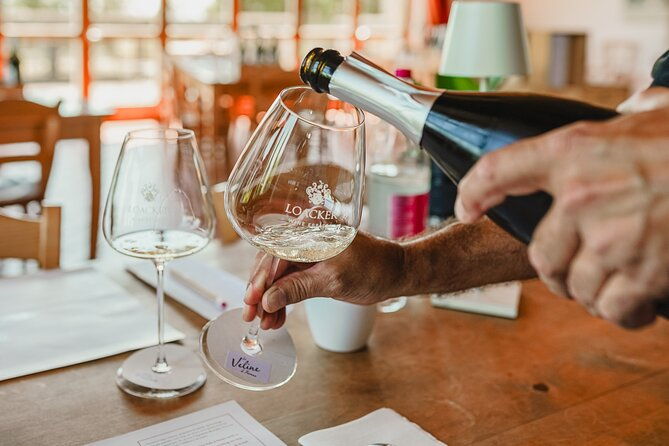 winery-tour-wine-tasting-in-montalcino
