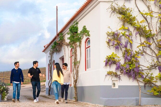 winery-visit-setubal-fish-market-tour-with-tasting-from-lisbon-2