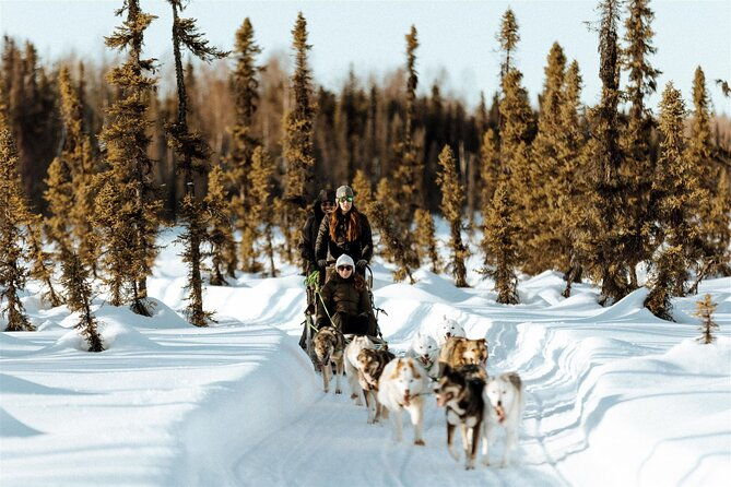 winter-dog-sled-tour-day-or-night