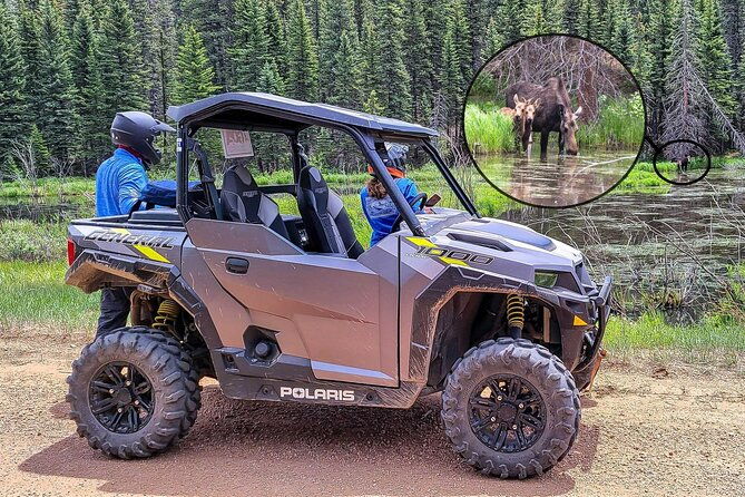 woodland-park-4-hour-self-guided-rocky-mountain-polaris-utv-tour