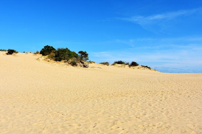 wright-brothers-carolina-dunes-self-guided-driving-audio-tour