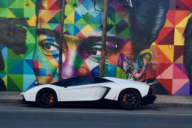 wynwood-french-guided-tour-street-art