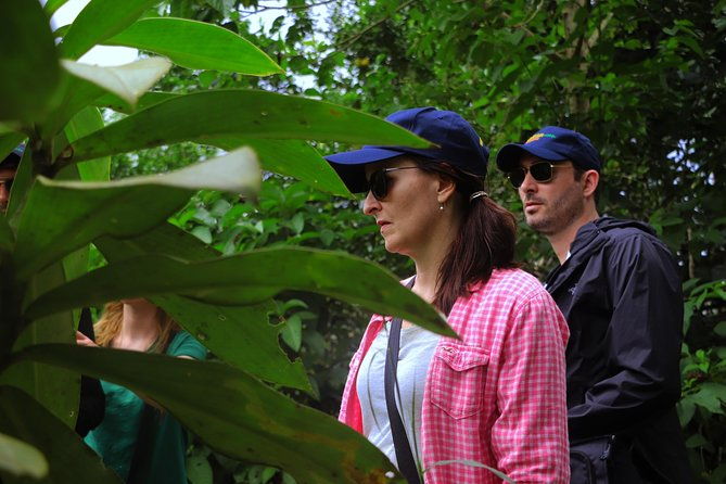 yasuni-national-park-3-days-2-nights-in-the-amazon-of-ecuadorcomfortable-rooms