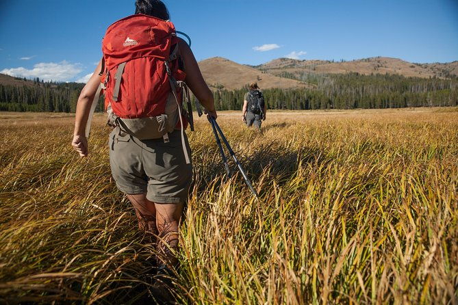 yellowstone-full-day-private-hike-2