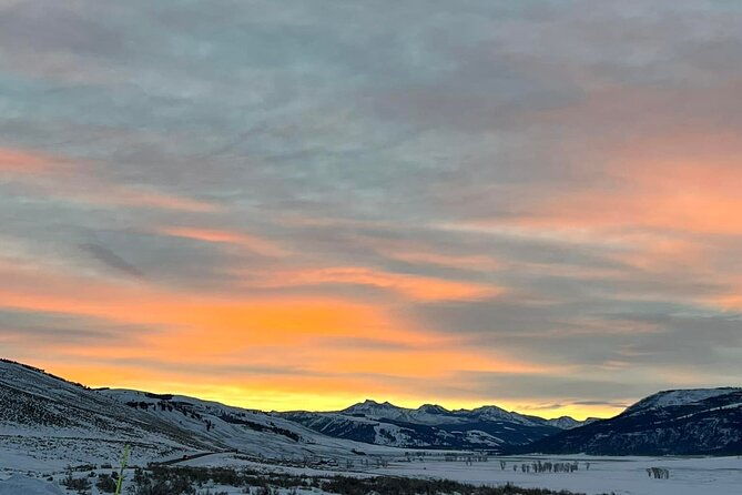 yellowstone-full-day-upper-loop-with-wildlife-adventure-w-lunch-2