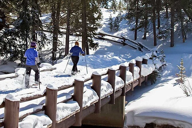 yellowstone-grand-teton-national-parks-private-winter-tour-5-day