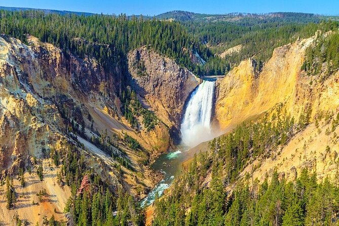 yellowstone-lower-loop-vip-full-day-private-tour-with-lunch-4