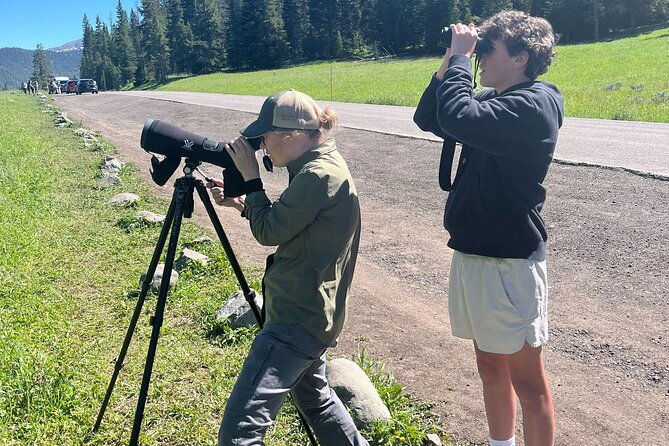 yellowstones-lamar-valley-wildlife-safari-from-gardiner