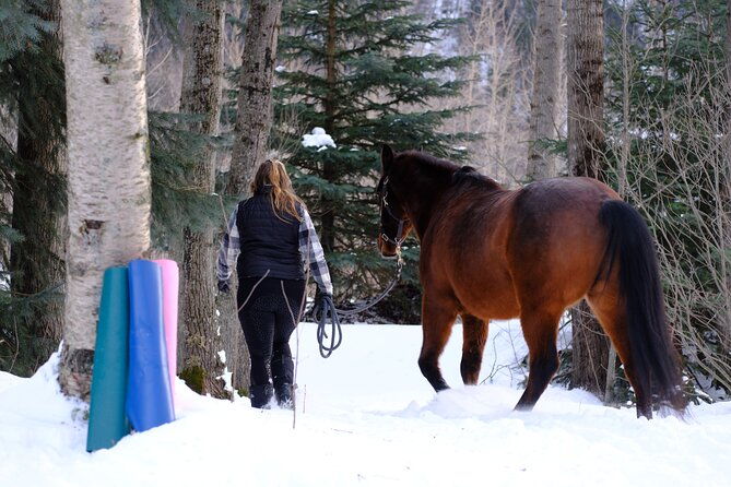 yoga-with-horses
