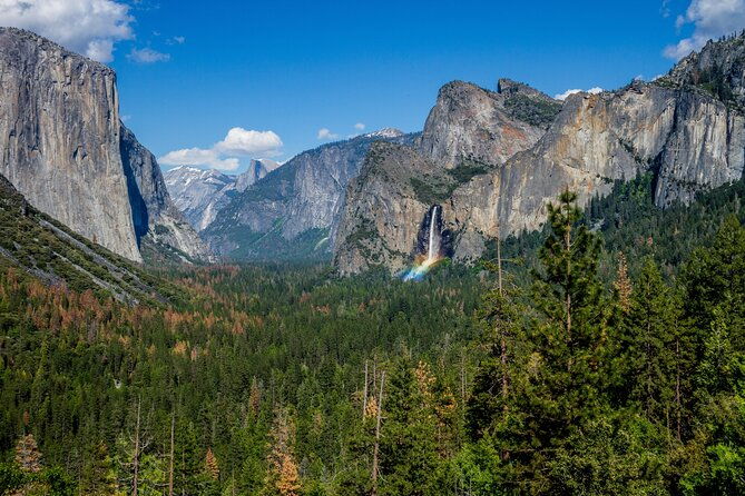 yosemite-and-giant-sequoias-day-tour
