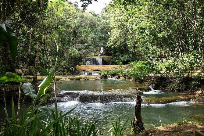 ys-falls-and-pelican-bar-combo-full-day-private-tour-south-coast