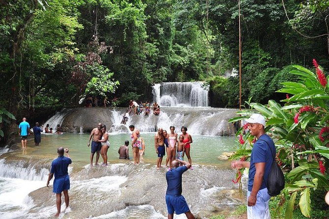 ys-falls-and-the-pelican-bar-adventure-tour-from-montego-bay