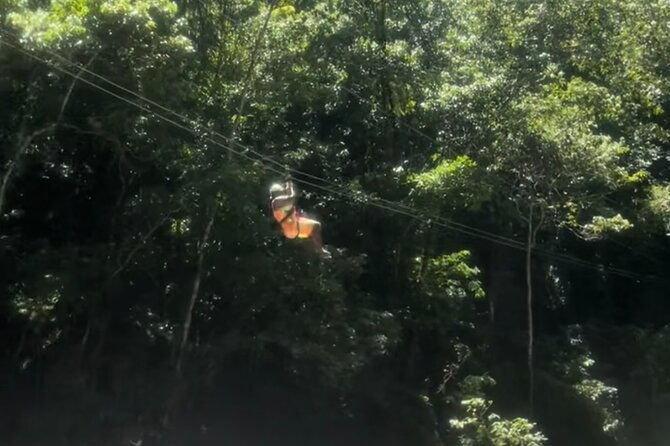 ys-falls-black-river-safari-appleton-rum-tour-or-pelican-bar-choose-up-to-3