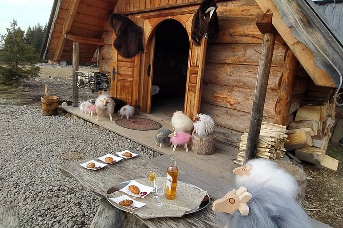 zakopane-and-hot-baths-private-tour-from-krakow-with-tickets