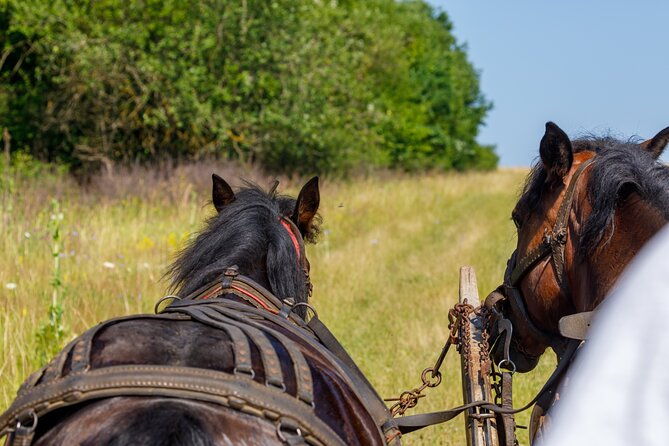 zakopane-horse-drawn-rides-with-local-guide-and-food-tasting