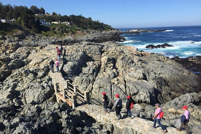 zapallar-walking-bird-watching-penguins-lunch-from-valparaiso