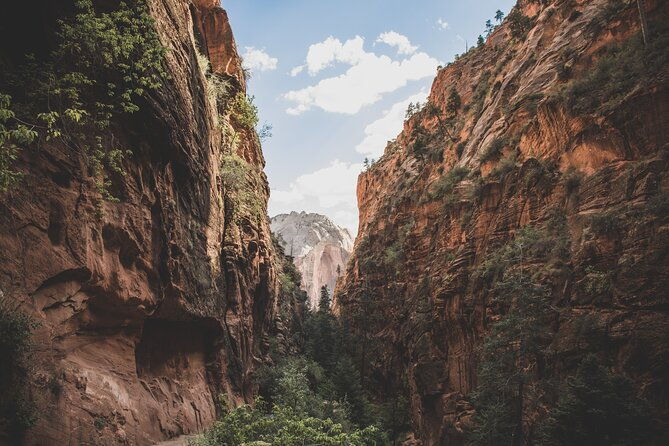 zion-full-day-small-group-tour-with-narrows