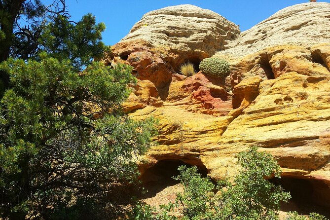 zion-utv-morning-tour