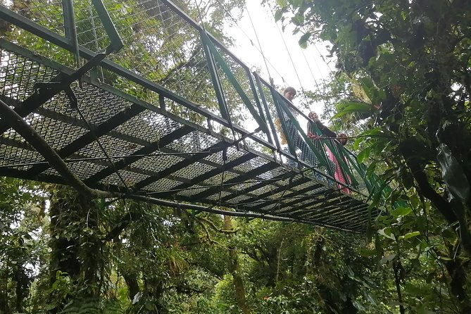zip-line-hot-springs-horses-and-more-aventure
