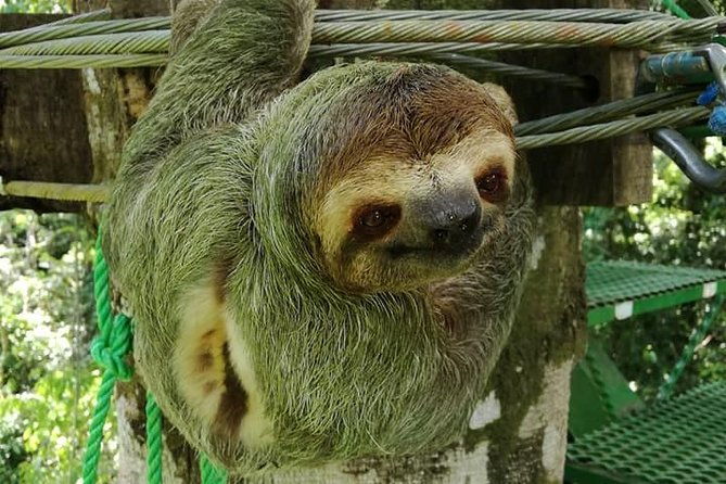 zip-lining-rappel-and-a-tarzan-swing