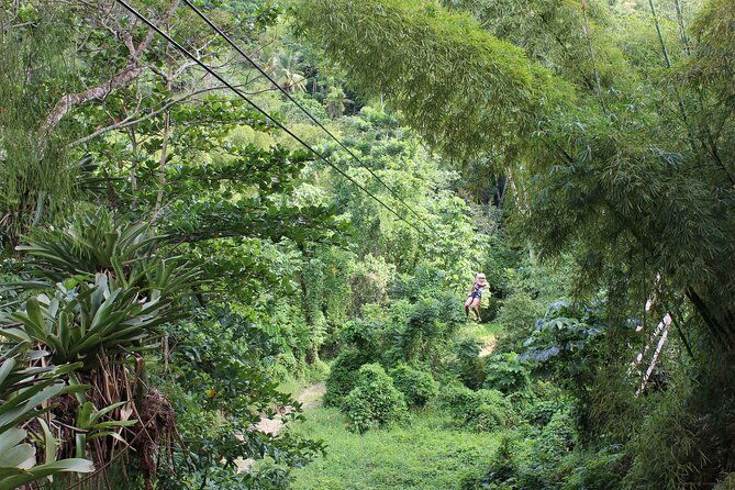 zipline-tubing-and-island-gully-falls-at-white-river