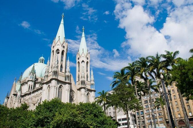 3h-city-tour-pick-up-delivery-within-sao-paulo-city-limits