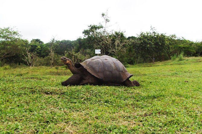 4-day-galapagos-islands-express-tour