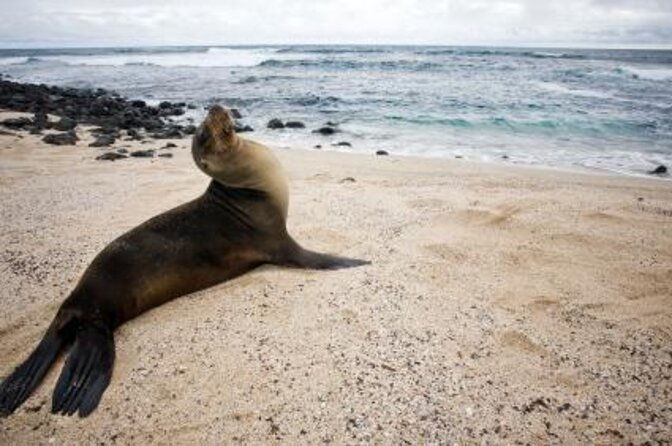 4-day-galapagos-on-a-budget-experience