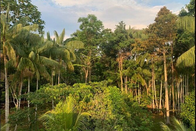 4-day-private-wild-amazon-adventure-tour