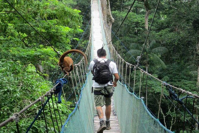 4-day-tambopata-national-reserve-tambopata-peru-tours