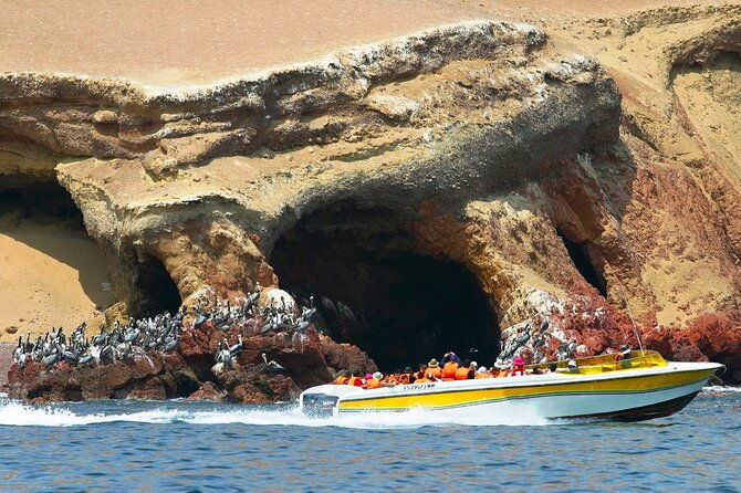 4-day-tour-from-lima-nazca-lines-flight-paracas-and-huacachina