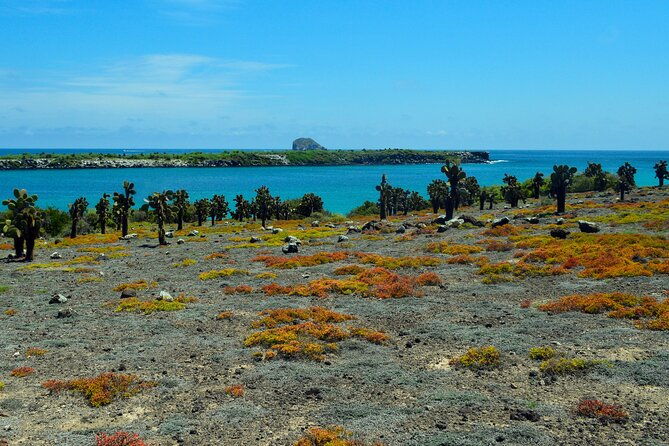 4-day-wildlife-tour-in-santa-cruz-island