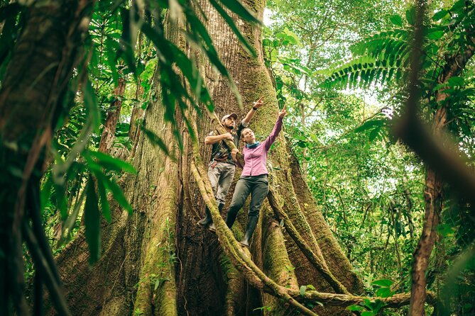 4-days-cuyabeno-amazon-experience-at-waita-lodge